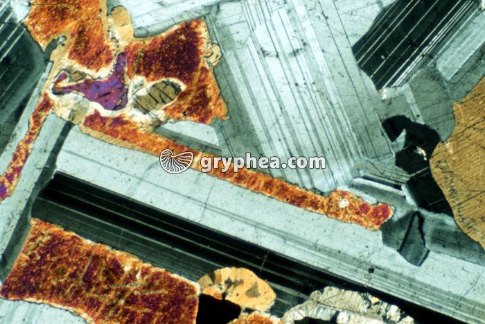 Feldspath Plagioclase LPA x10 - gryphea.com